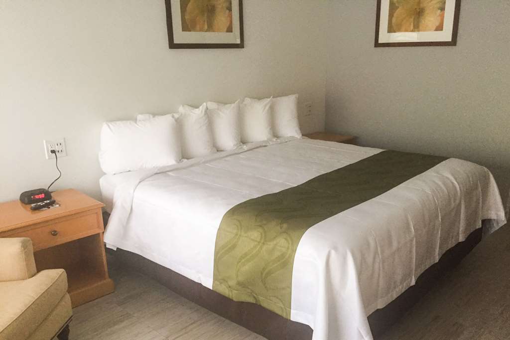 Quality Inn University North I-75 Gainesville Rom bilde